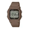 ساعت مچی مردانه کاسیو مدل Casio W-800H-5AV