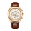 ساعت مچی مردانه سیتیزن مدل Citizen CA4593-15A